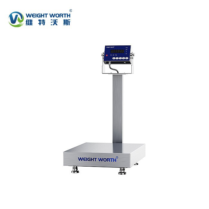 Washdown Stainless Steel Bench Scale